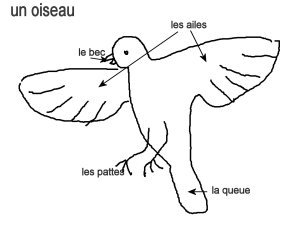 [Image: oiseau_voc.jpg?w=300&h=225]